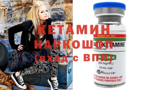 трава Абаза